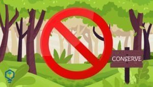 Conservations Easement - Good Execution is the Key